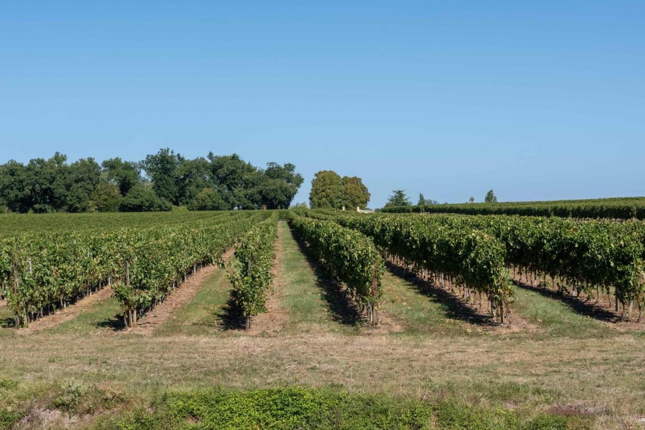 Bed and Breakfast L'Ilot Vignes Rauzan Exteriér fotografie